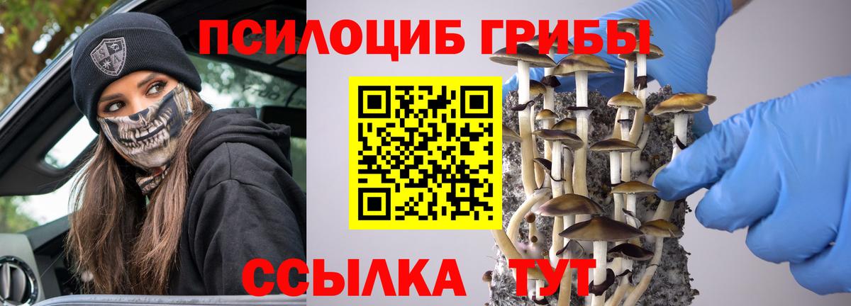 Иваново  Галлюциногенные грибы MAGIC MUSHROOMS  Вход с VPN  Псилоцибиновые грибы Magic Shrooms 